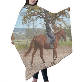 Personality  Training With The Red-brown Oldenburg Mare On A Riding Arena In Autumn Hair Cutting Cape