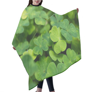 Personality  Clover Plants Close Up Hair Cutting Cape