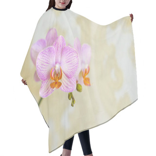 Personality  A Tender Pink Orchid On A Warm Golden Background. There Is A Place For The Text On The Photo. Hair Cutting Cape