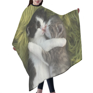 Personality  Kittens Outdoors In Natural Light Hair Cutting Cape