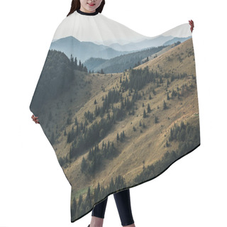 Personality  Yellow Meadow With Pine Trees In Mountains Against Sky  Hair Cutting Cape