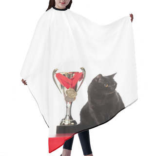 Personality  Adorable Black British Shorthair Cat Sitting Near Golden Trophy Cup And Looking Away Isolated On White Background  Hair Cutting Cape