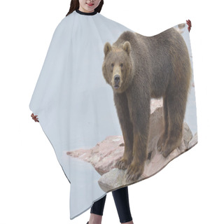 Personality  Brown Bear Close To A River Hair Cutting Cape