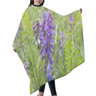 Personality  A Shallow Focus Of Scutellaria Baicalensis BAIKAL SKULLCAP With Green Flowers With Lawn Blurred Background On A Spring Day Hair Cutting Cape
