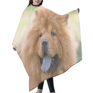 Personality  Chow Chow Hair Cutting Cape