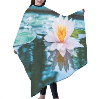 Personality  Beautiful Pink Waterlily Or Lotus Flower In Pond Hair Cutting Cape
