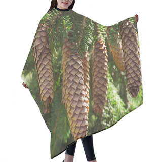 Personality  Pine Cones Hair Cutting Cape