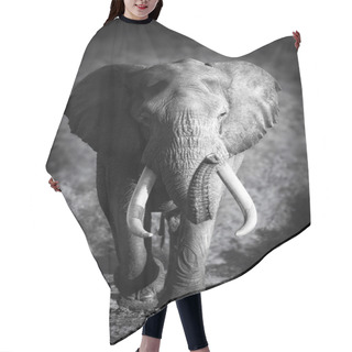 Personality  Elephant Bull (Artistic Processing) Hair Cutting Cape