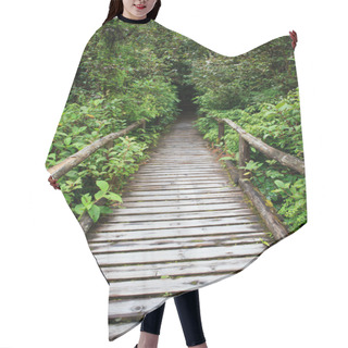 Personality  Wooden Walking Way In Hill Evergreen Forest Of Doi Inthanon Chia Hair Cutting Cape