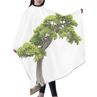 Personality  Green Bonsai Tree On White Background Hair Cutting Cape