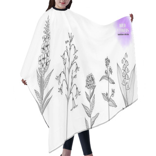 Personality  Set Of Hand-drawn, Ink Drawn Wild Flowers: Forget-me-not, Lungwort, Lily Of The Valley, Willow Herb, Bellflower, Violet. Black And White. Vector EPS 10. Hair Cutting Cape