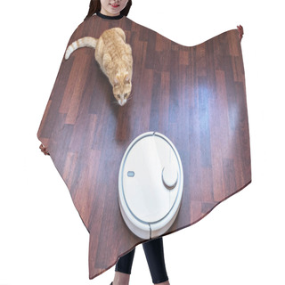 Personality  Red Cat Watches The Cleaning Of The Robot Vacuum Cleaner. Hair Cutting Cape