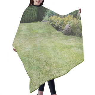 Personality  Selective Focus Of Fresh Green Grass Near Small Bushes  Hair Cutting Cape