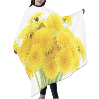 Personality  Bouquet Of Dandelions. Hair Cutting Cape