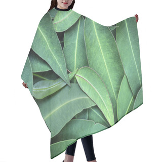 Personality  Eucalyptus Leaves Full Frame Background Top View Hair Cutting Cape