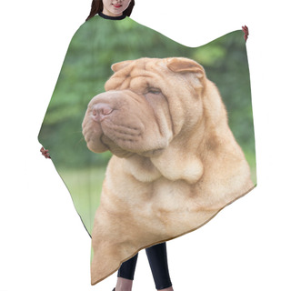 Personality  Portrait Of A Purebred  Dog Chinese Shar-Pei On A Green Backgrou Hair Cutting Cape