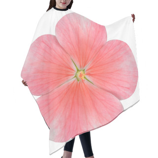 Personality  Pink Periwinkle Flower Isolated On White Hair Cutting Cape