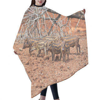 Personality  Wild Boars Family  Hair Cutting Cape