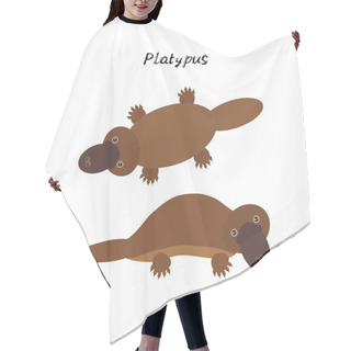 Personality  Cute Kawaii Australian Platypus, Isolated On White Background. Can Be Used For Cards For Preschool Children Games, Learning Words. Vector Illustration Hair Cutting Cape
