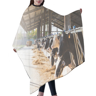Personality  Black And White Cows Hair Cutting Cape