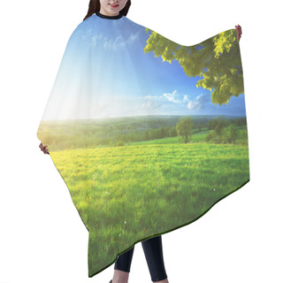 Personality  Field Of Spring Grass And Forest Hair Cutting Cape