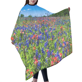 Personality  A Wide Angle View Of A Beautiful Field Of Texas Wildflowers. Hair Cutting Cape