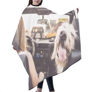 Personality  Funny Dog With Owner In Car Hair Cutting Cape