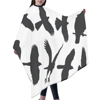 Personality  Sparrowhawks Collection - Vector Hair Cutting Cape