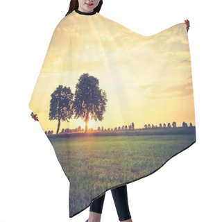 Personality  Vintage Photo Of Sunset Over Trees Hair Cutting Cape
