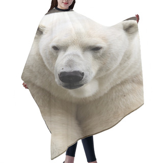 Personality  Polar Bear Hair Cutting Cape