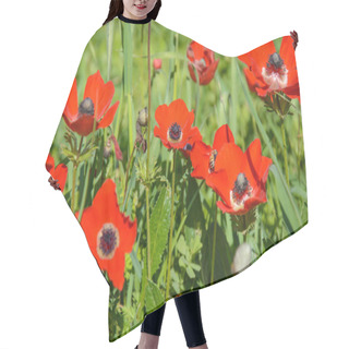 Personality  Blooming Red Anemones Hair Cutting Cape