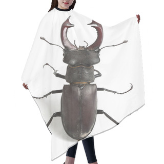 Personality  Stag Beetle Hair Cutting Cape
