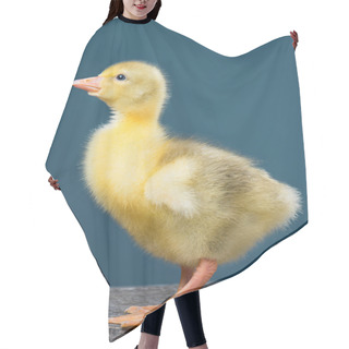 Personality  Cute Newborn Gosling Hair Cutting Cape