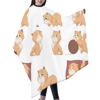 Personality  Funny Kittens Hair Cutting Cape