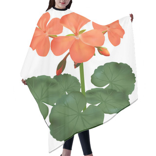 Personality  Vector Illustration Of Blooming Geranium Hair Cutting Cape