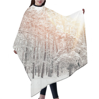 Personality  Scenic View Of Beautiful Snowy Winter Forest With Sunlight Hair Cutting Cape