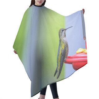 Personality  THE VERVAIN HUMMING BIRD Hair Cutting Cape