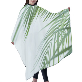 Personality  Close Up View Of Palm Leaves Isolated On Grey Background  Hair Cutting Cape