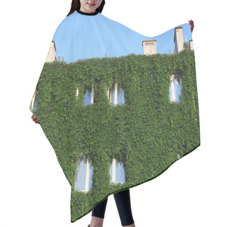 Personality  House Fully Covered By Ivy Creeper Hair Cutting Cape