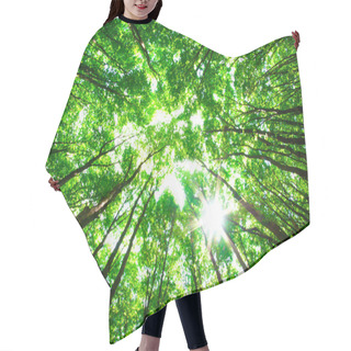 Personality  Green Forest Hair Cutting Cape