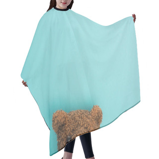 Personality  Top View Of Teddy Bear On Blue  Hair Cutting Cape