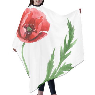 Personality  Red Poppy Flower With Green Leaf Isolated On White. Watercolor Background Illustration Set.  Hair Cutting Cape