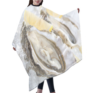 Personality  Raw Oysters Hair Cutting Cape