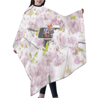 Personality  Two Asian Woman Taking A Selfie During Cherry Blooming With A Se Hair Cutting Cape