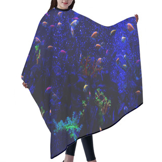 Personality  Fishes Swimming Under Water In Aquarium With Neon Lighting Hair Cutting Cape