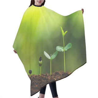 Personality  Seedling Growth Planting Trees Watering A Tree Natural Light Hair Cutting Cape
