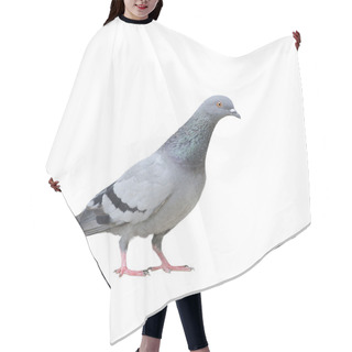 Personality  Pigeon Hair Cutting Cape