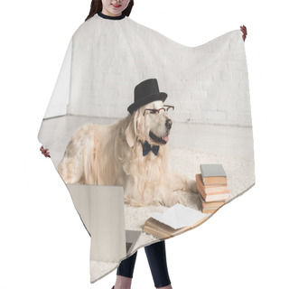 Personality  Cute Golden Retriever In Bow Tie, Glasses And Hat Lying On Floor With Laptop And Books  Hair Cutting Cape