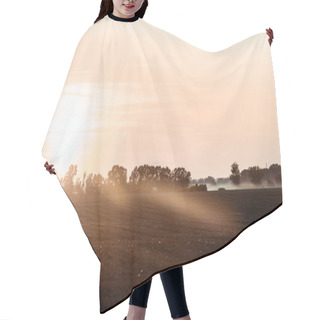 Personality  Sunlight On Field Near Trees And Sky In Evening  Hair Cutting Cape
