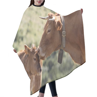 Personality  Cow With Calf Hair Cutting Cape